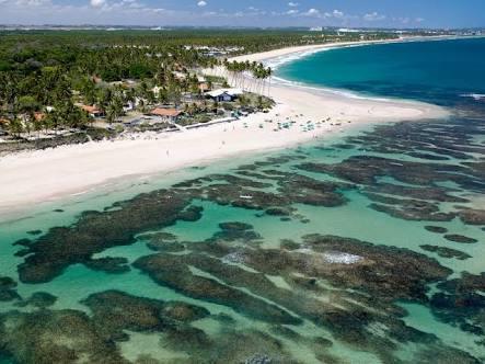 Palm Village - O Melhor De Cupe E Porto Pôrto das Galinhas Eksteriør billede